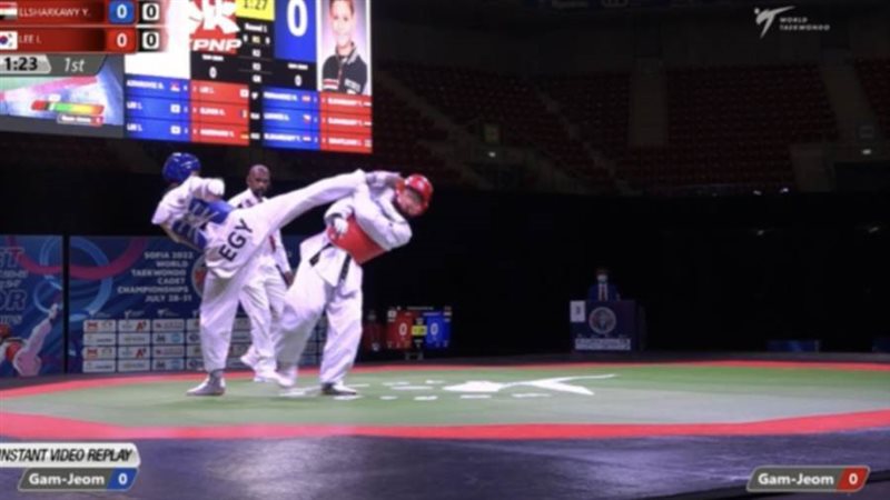 يوسف الشرقاوي