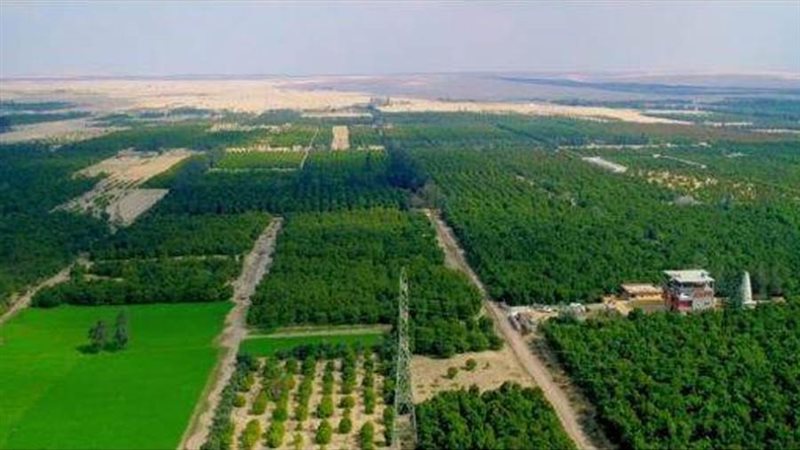 مشروعات الأمن الغذائي