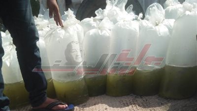 ضبط 5 آلاف وحدة زريعة طوبار بكفر الشيخ لم يصرح بنقلها
