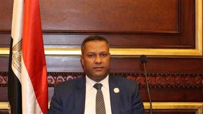النائب محمد حمزة: التاريخ يشهد على دور مصر البارز في دعم القضية الفلسطينية