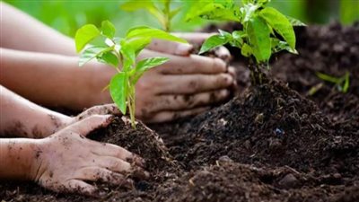 تحظى برعاية الرئيس .. 10 معلومات عن مبادرة 