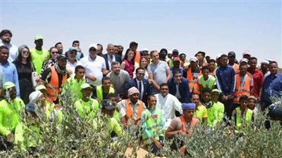  محافظ الوادي الجديد والنائبة يشهدان حصاد بشائر شجيرات الجوجوبا