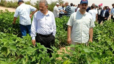 جامعة الوادي الجديد تشارك في اليوم الوطني لحصاد الجوجوبا بمركز باريس