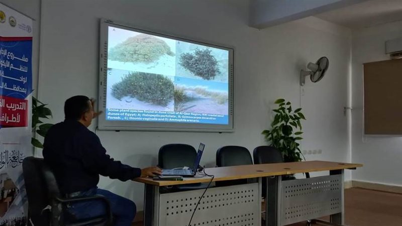 النظم الأيكولوجية