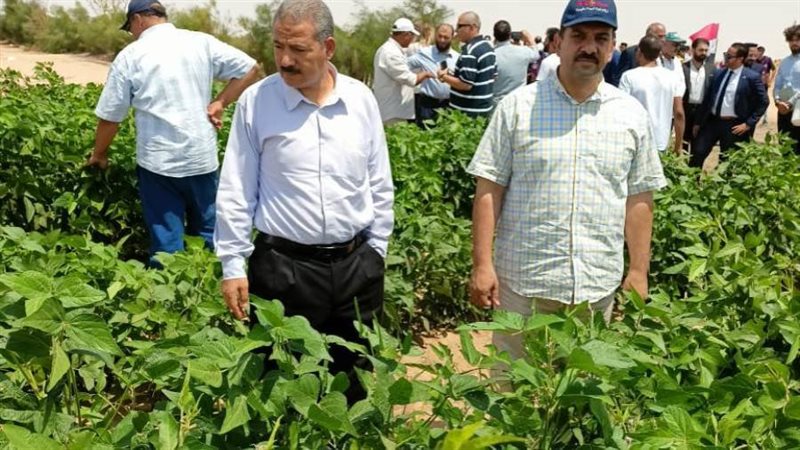 طلبه واساتذة الجامعه