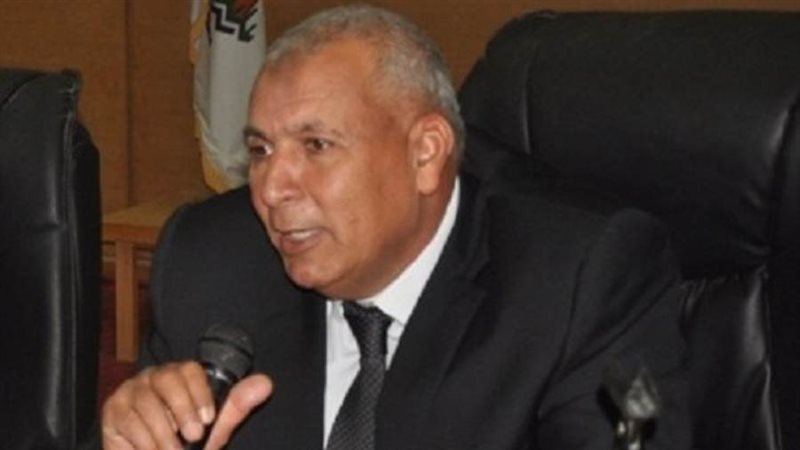 محافظ الوادي الجديد