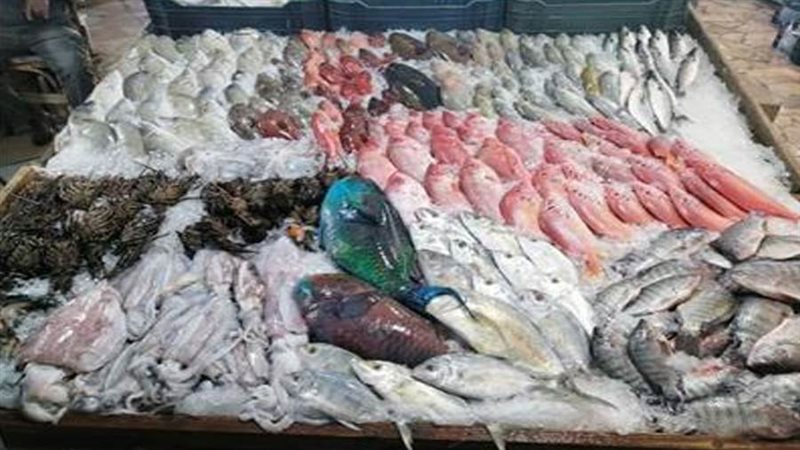 الاسماك _ارشيف