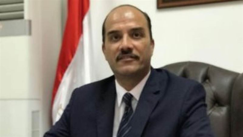 الدكتور حسن عبد المنعم