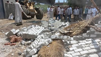 إزالة 46 حالة تعدٍ على الأراضي الزراعية وأملاك الدولة بالبحيرة