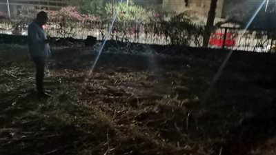 الآثار.. قلعة صلاح الدين لم يصبها أي ضرر وآمنة 