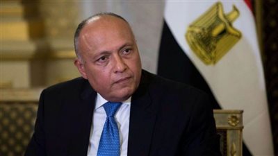 وزير الخارجية: مصر حريصة على التواصل مع الدول الإفريقية ومواجهة التحديات