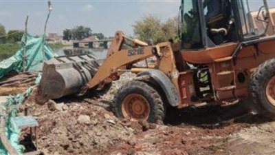 إزالة 31 حالة تعد على الأرض الزراعية وأملاك الدولة بالمحلة