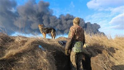 موسكو: تفجير 6 خطوط كهرباء لمحطة كورسك الكهروذرية