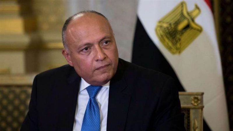 سامح شكري وزير الخارجية