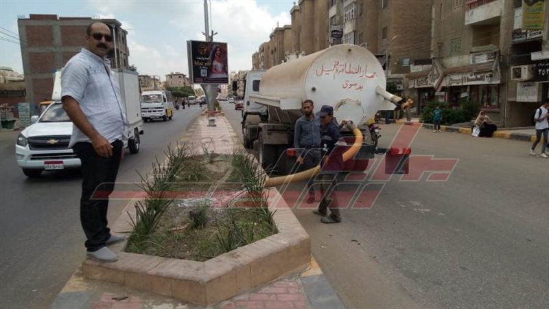 زراعة الميادين