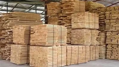 بلغاريا تحظر تصدير الأخشاب بسبب تضاعف أسعار الحطب