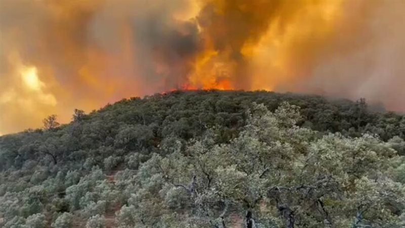 حريق غابات بالمغرب
