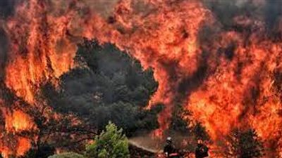 المفوضية الأوروبية: حرائق الغابات التهمت 700 ألف هكتار من أراضي أوروبا