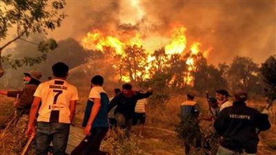 الجزائر: ارتفاع الحصيلة الأولية للوفيات جراء الحرائق لـ30 شخصًا