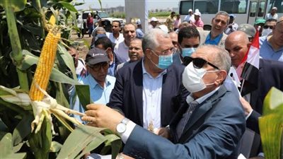 وزير الزراعة ومحافظ كفر الشيخ يطلقان فعاليات يوم الحقل السنوي لمحصولي الذرة الشامية والأرز