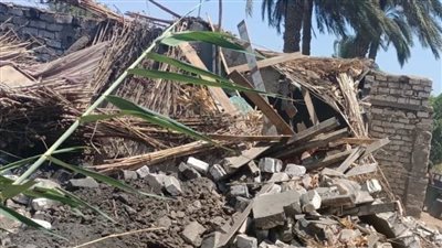 إزالة 214 حالة ضمن  الموجة الـ20  ببني سويف