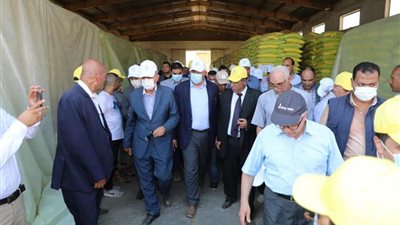 وزير الزراعة يتفقد حقول الإكثار في قرية سبرباي بطنطا للاطمئنان على محصول الأرز