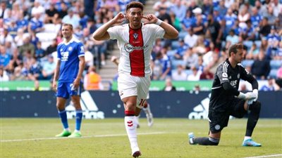 فوز فولهام على برينتفورد ..وساوثهامبتون على ليستر سيتي في الدوري الإنجليزي