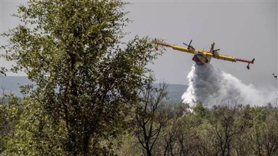 مندلعة منذ 3 أيام .. الحرائق تقضي على 55 هكتارا من الغابات بشمال المغرب