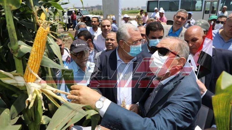 وزير الزراعة ومحافظ