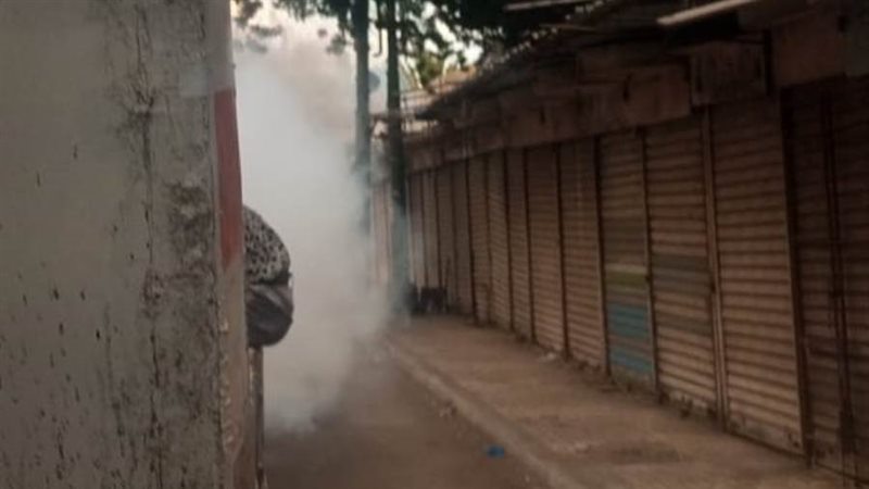 حملات لرش البعوض