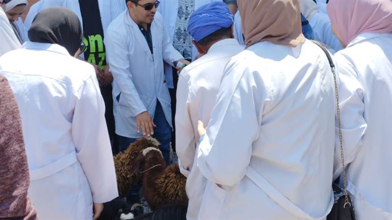 الكشف على ٧٧٣ مواطن