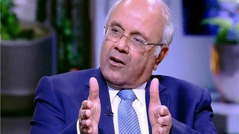 النائب الدكتور محمد