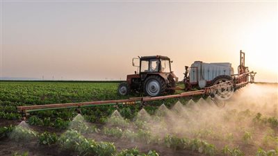 علماء يحذرون: النقص العالمي في الكبريت يهدد الأمن الغذائي وتقدم التكنولوجيا الخضراء