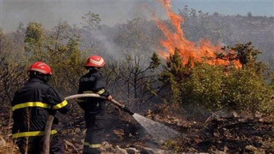 الجزائر: إخماد 31 حريقا في عدد من الولايات خلال 24 ساعة