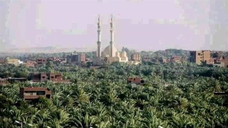 مزرعة بحثية لسلالات