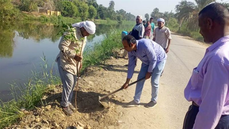 زراعة الأشجار المثمرة