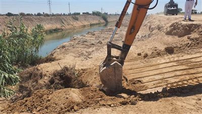 محافظ الإسكندرية: تنفيذ ١١ قرار إزالة للتعديات على أراضي الري