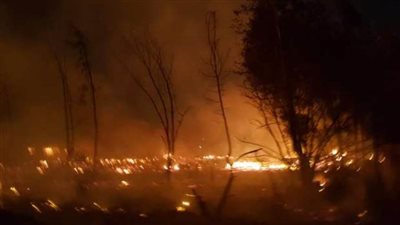 محافظ الجيزة يتابع جهود السيطرة على حريق بأحد الاستوديوهات بأبو النمرس