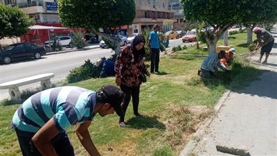 نشاط مكثف لجهاز التطوير والتجميل بمدينة الإسماعيلية 