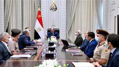 الرئيس السيسي يوجه بتدقيق الدراسات العلمية المتعلقة بمشروعات تطوير الريف المصري 