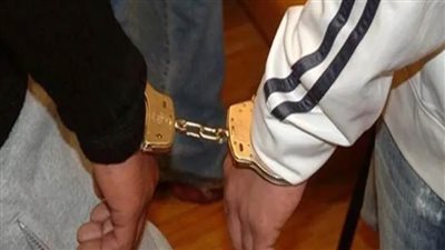 ضبط شخصين بأسيوط لقيامهما بالحفر والتنقيب عن الآثار