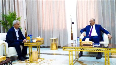 عضو مجلس القيادة اليمني يؤكد أهمية عودة مؤسسات الإعلام الرسمية للعمل