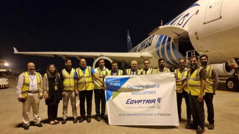 السفير المصري في