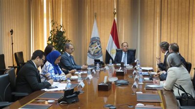 وزير المالية: تعظيم جهود العمل المشترك للتحول للاقتصاد الأخضر بالتزامن مع 