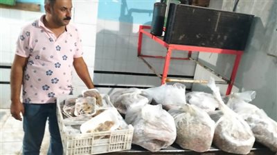 ضبط لحوم وأسماك غير صالحة للاستهلاك الآدمي بالدقهلية 