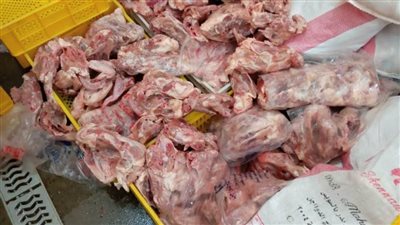 ضبط 11 طن هياكل دواجن فاسدة بمصنع مخالف في الخانكة