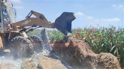 إزالة التعديات على الأرضي الزراعية والبناء المخالف بعاصمة كفر الشيخ