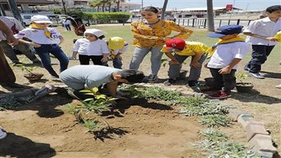 دمياط تطلق مبادرة 