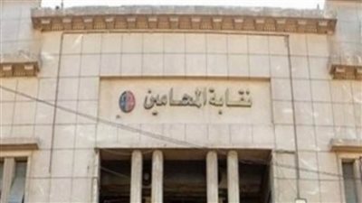 عاشور والزيات تقدما بطعن على استبعادهما من انتخابات نقابة المحامين 