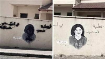 الشرطة الإسرائيلية تُزيل جدارية للشهيدة شيرين أبو عاقلة داخل الخط الأخضر